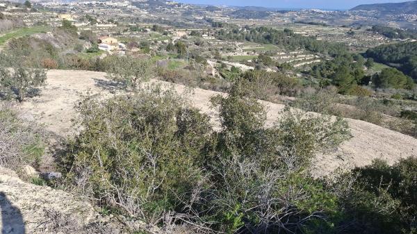 Terreno en Camino de Sant Miquel, Teulada photo 1