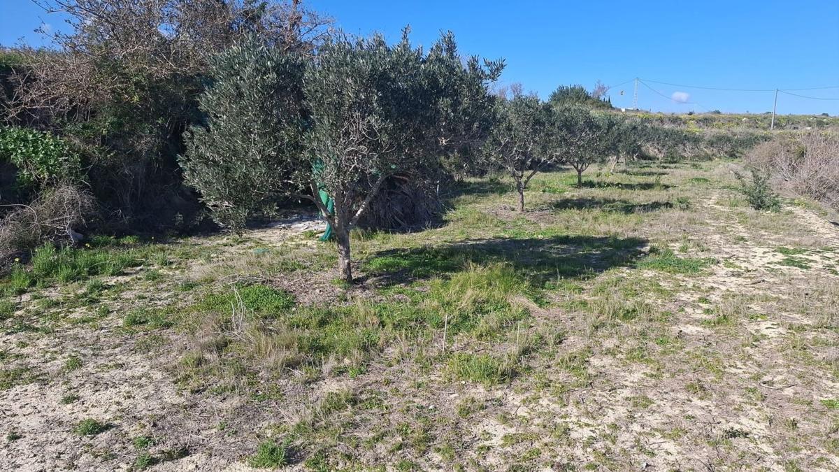 Land for sale in Teulada, Alicante photo 2