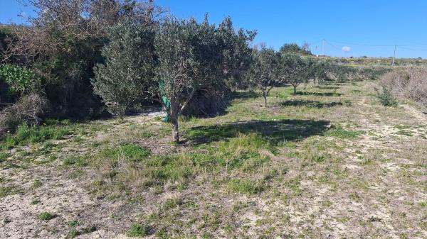 Terreno en Camino de Sant Miquel, Teulada thumbnail 1