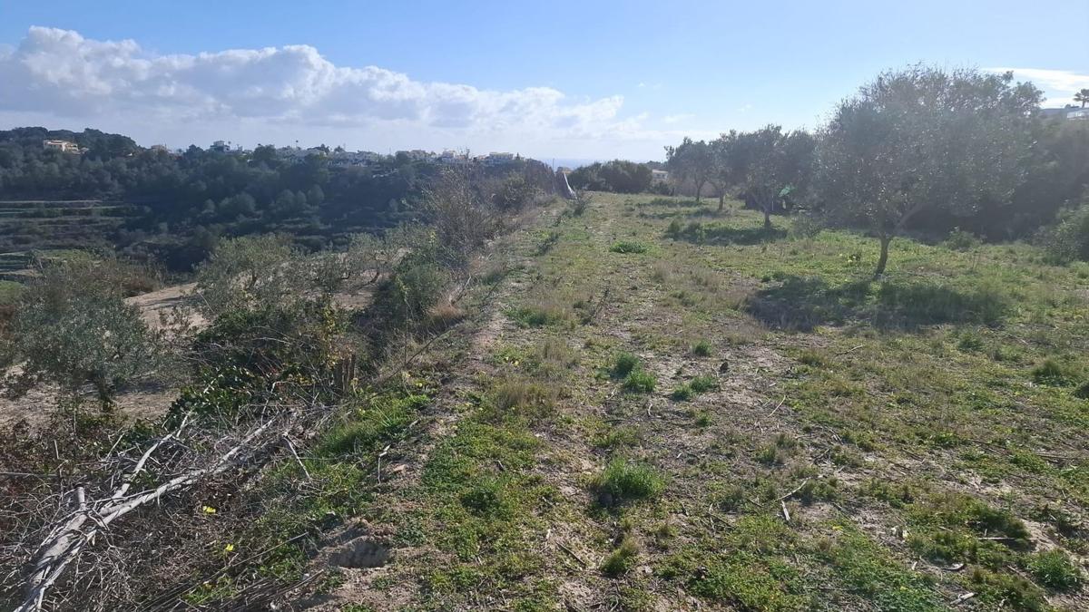 Land for sale in Teulada, Alicante photo 4