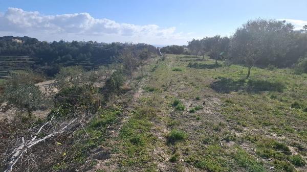 Terreno en Camino de Sant Miquel, Teulada photo 4