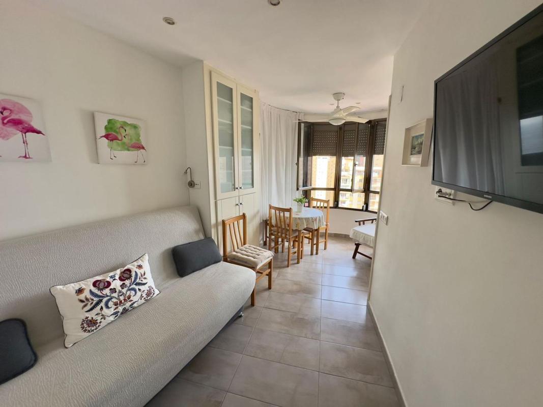 Sale of studio in Estudio en Zona Sierra Helada, Benidorm, Benidorm photo 3