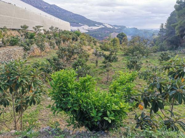 Terreno en Cv-715, Callosa d'En Sarria photo 1