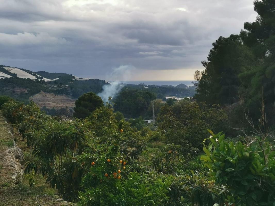 Działka na sprzedaż w Callosa d'En Sarria, Alicante photo 3