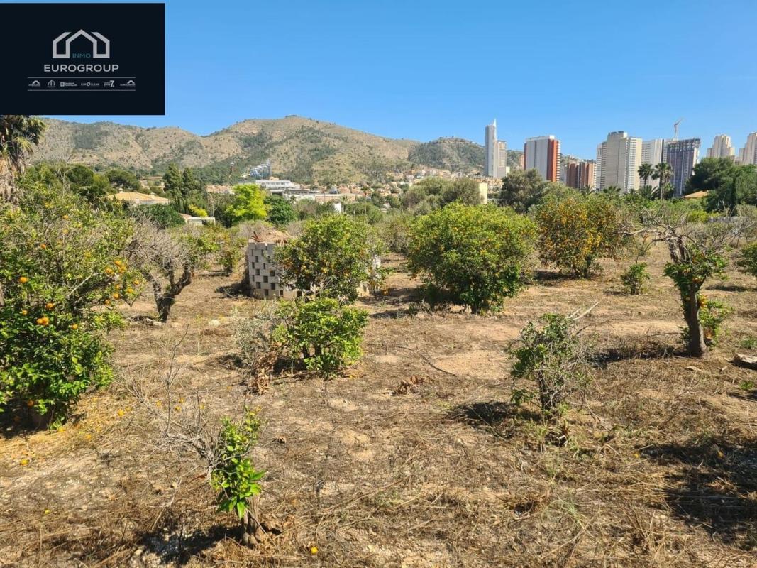 Sprzedaż działki rolnej w Finca rústica en Zona Rincón Alto, Benidorm , Benidorm photo 2