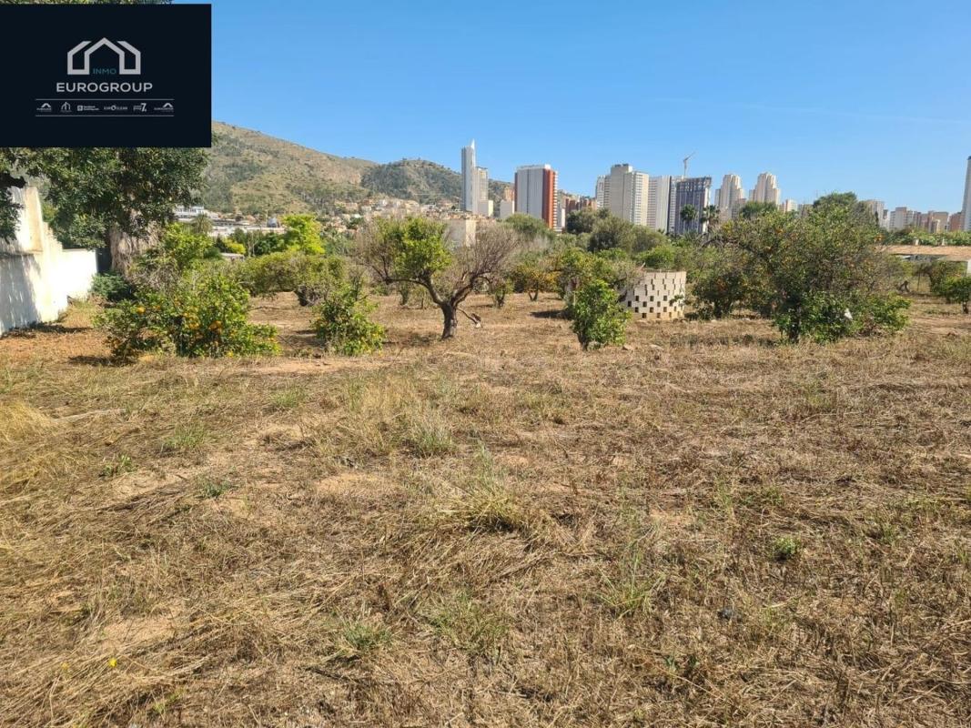 Sprzedaż działki rolnej w Finca rústica en Zona Rincón Alto, Benidorm , Benidorm photo 5