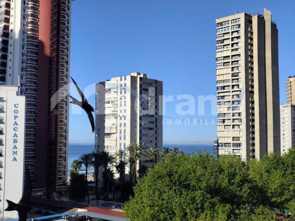 Studium na sprzedaż w Estudio en Playa de Levante, Benidorm, Benidorm photo 1