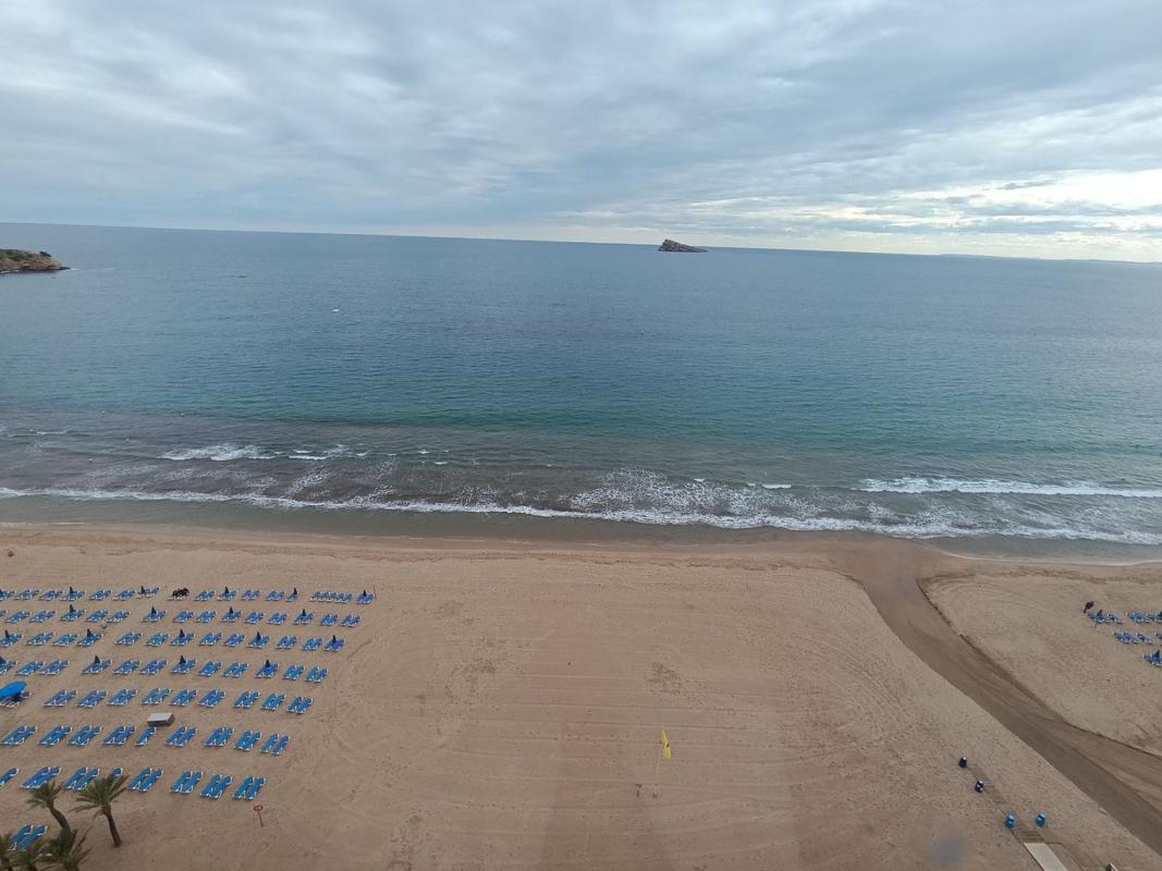 Sprzedaż studia w Estudio en Avenida de Madrid, 15, Playa de Levante, Benidorm, Benidorm photo 3