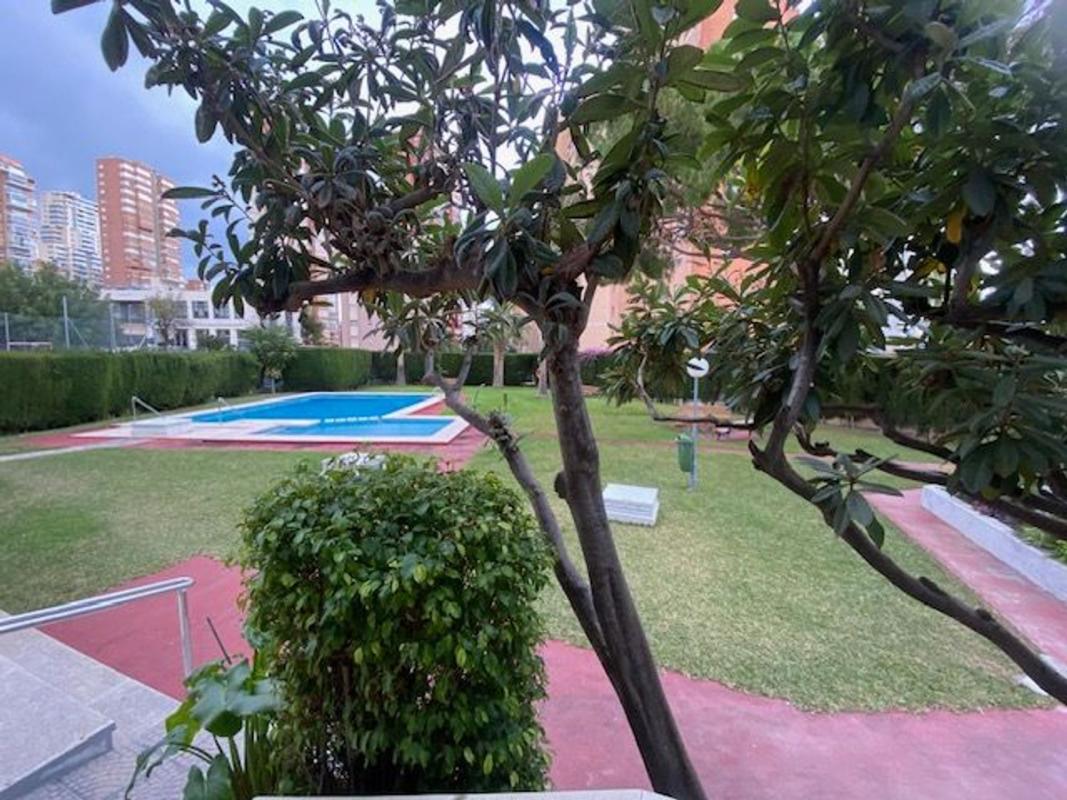 Продажа квартиры на Piso en Avenida de Andalucía, 4, Pueblo Levante, Benidorm, Бенидорм
 photo 3