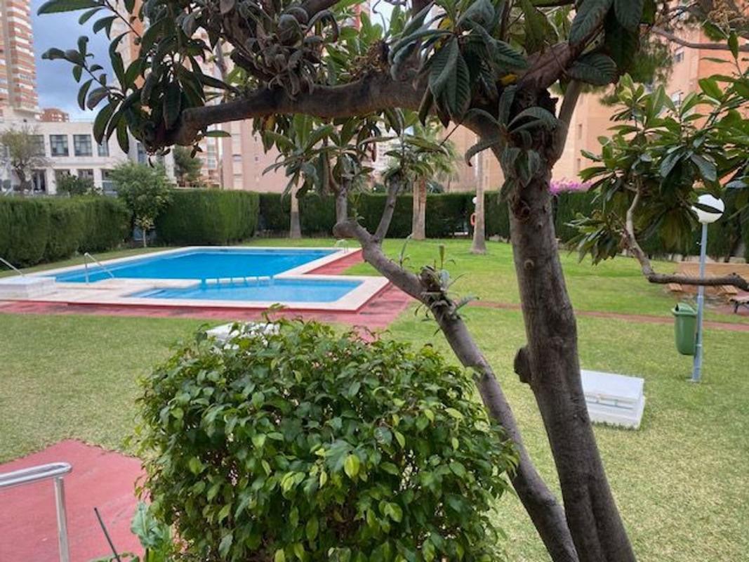 Продажа квартиры на Piso en Avenida de Andalucía, 4, Pueblo Levante, Benidorm, Бенидорм
 photo 4