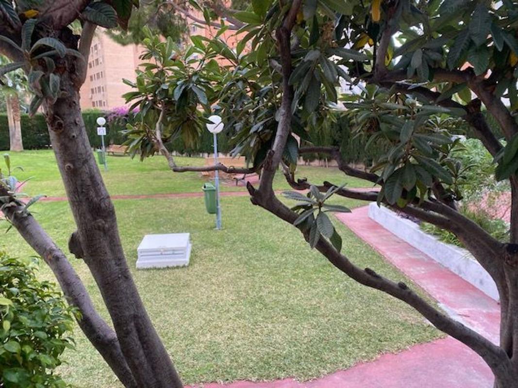 Продажа квартиры на Piso en Avenida de Andalucía, 4, Pueblo Levante, Benidorm, Бенидорм
 photo 5