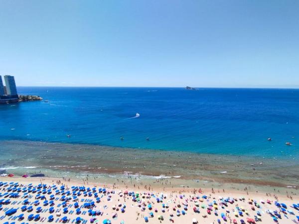 Studium na sprzedaż w Estudio en Avenida de Madrid, Playa de Levante, Benidorm, Benidorm photo 1