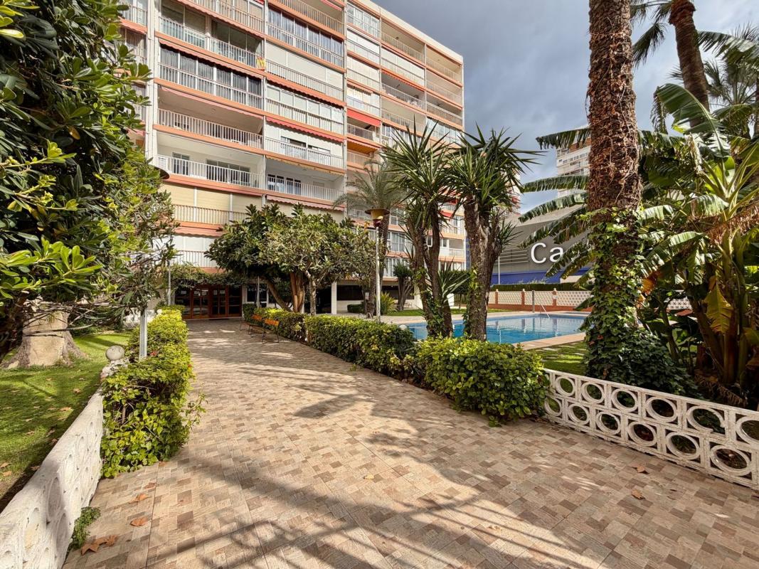 Sprzedaż mieszkania w Piso en Avenida del Mediterráneo, Playa de Levante, Benidorm, Benidorm
 photo 3