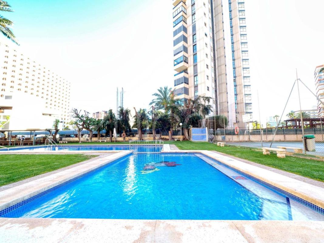 Sprzedaż mieszkania w Piso en Avenida Juan Fuster Zaragoza, Zona Rincón Bajo, Benidorm, Benidorm
photo 2