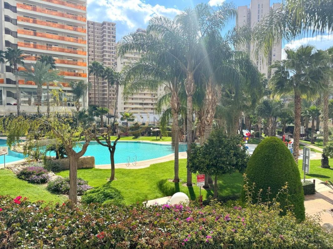 Sale of apartment in Piso en Avenida Ametlla de Mar, 17, Zona Rincón Bajo, Benidorm, Benidorm
photo 2