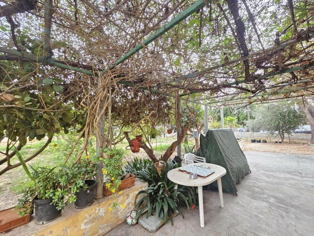 Sprzedaż działki rolnej w Finca rústica en Centro Urbano, Benidorm , Benidorm photo 4