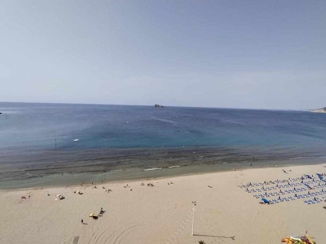 Sale of apartment in Piso en Avenida de Madrid s/n, Playa de Levante, Benidorm, Benidorm
 photo 2