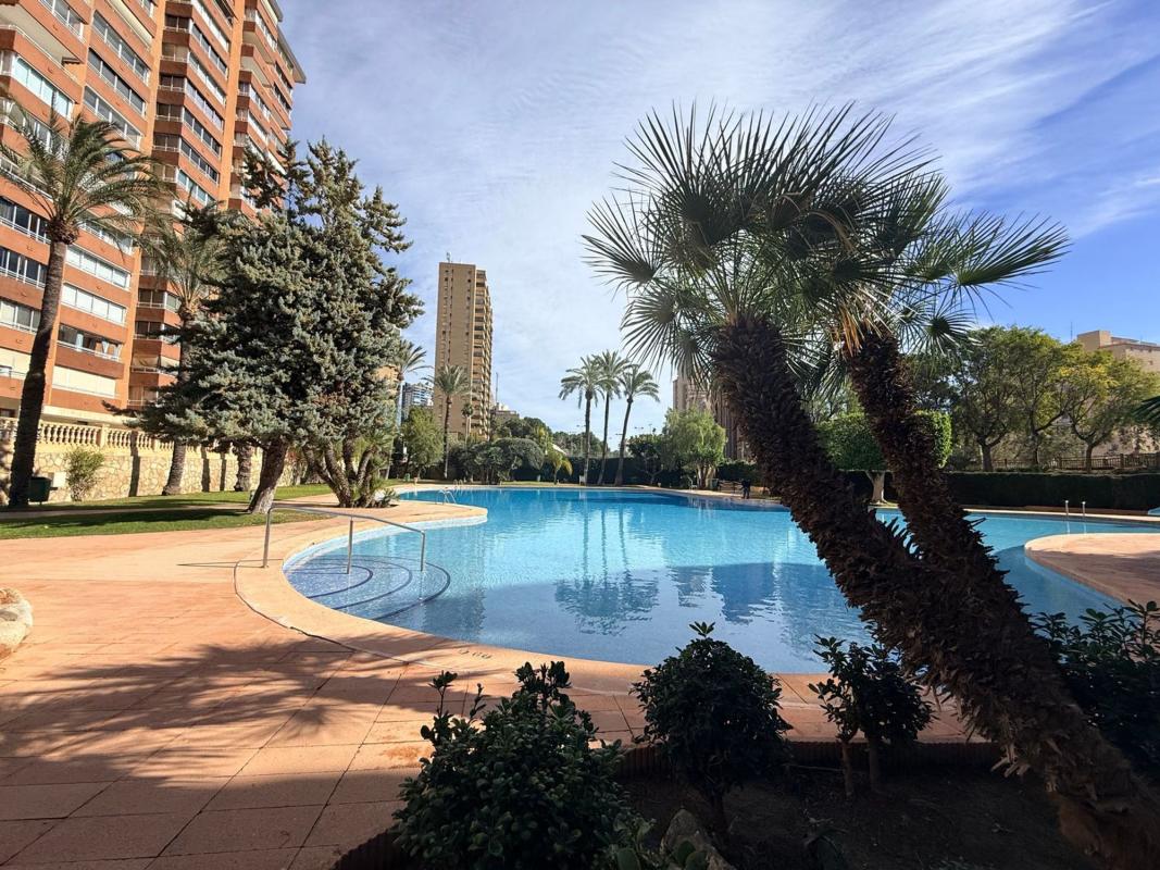 Sprzedaż mieszkania w Piso en Avenida de la Vila Joiosa, 30, Playa de Poniente, Benidorm, Benidorm
photo 3