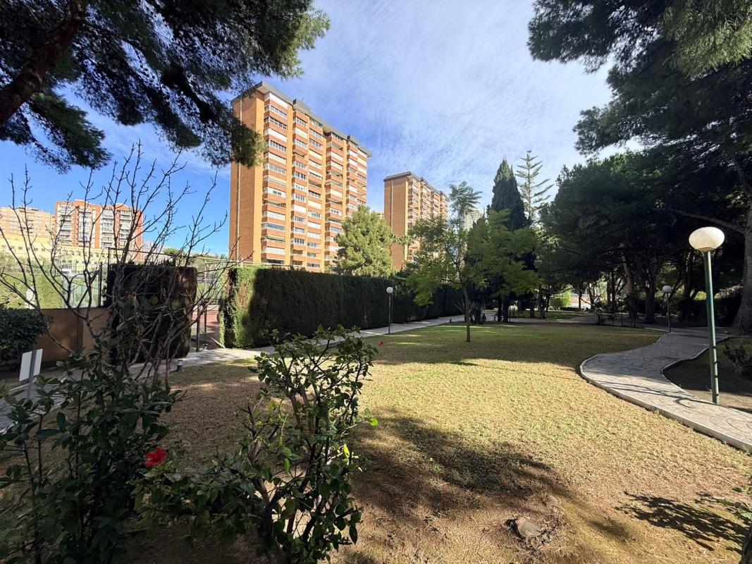 Sprzedaż mieszkania w Piso en Avenida de la Vila Joiosa, 30, Playa de Poniente, Benidorm, Benidorm
photo 5