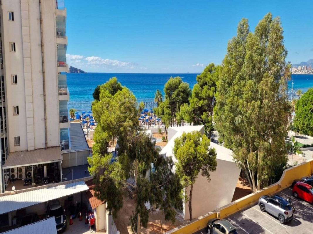 Sale of apartment in Piso en Avenida del Mediterráneo, Playa de Levante, Benidorm, Benidorm
photo 3