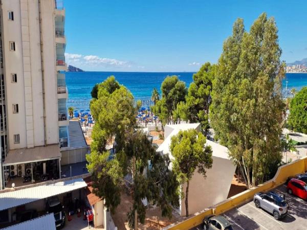 Sale of flat in Piso en Avenida del Mediterráneo, Playa de Levante, Benidorm, Benidorm
thumbnail 2