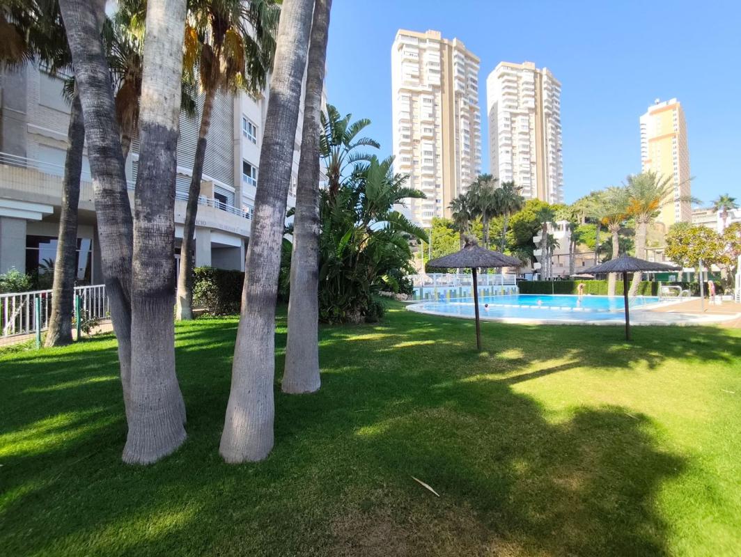 Venta de piso en Piso en Avenida de la Armada Española, Playa de Poniente, Benidorm, Benidorm
photo 4