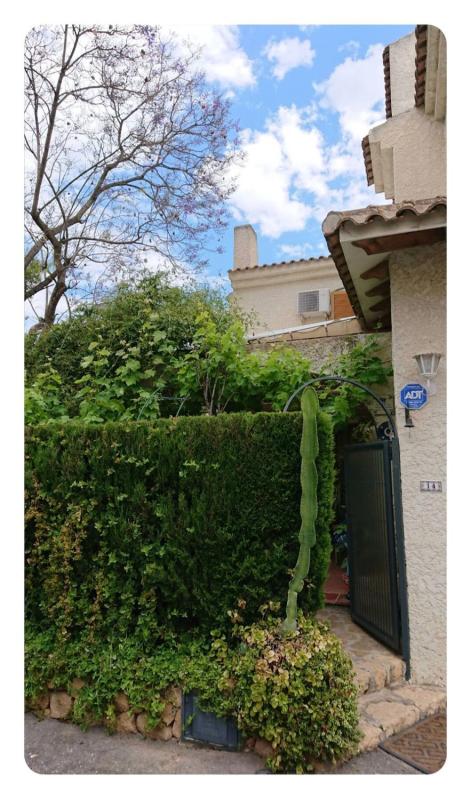 Propiedades en venta y alquiler en España photo 1