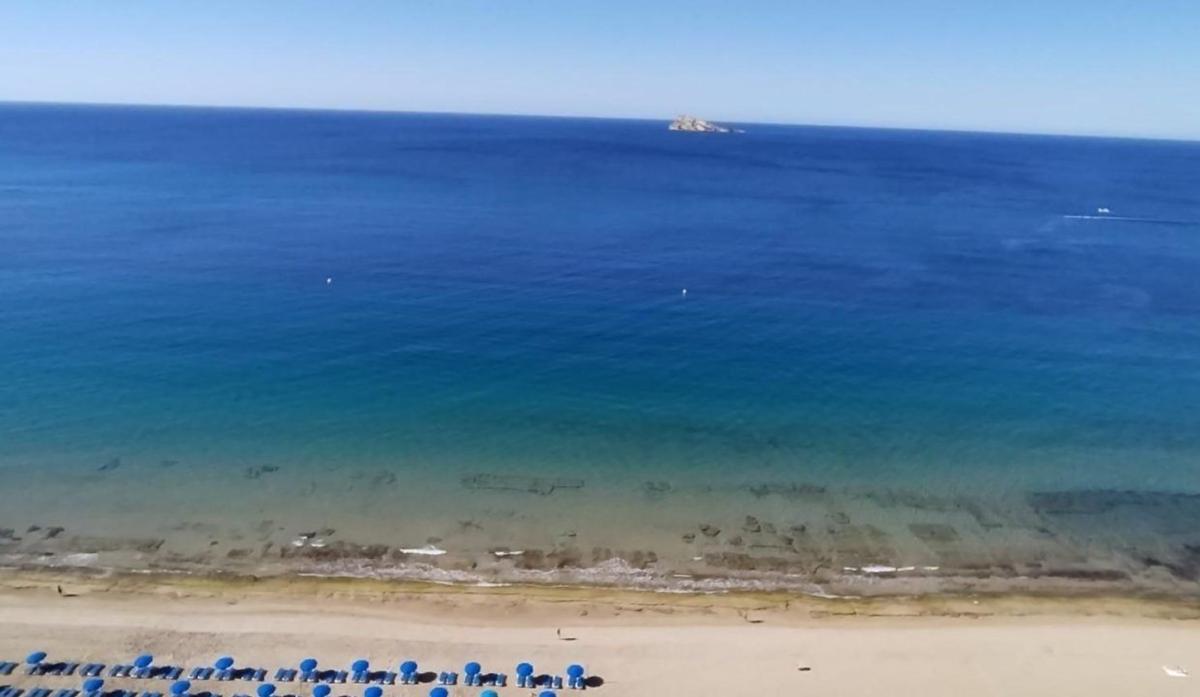 Sale of apartment in Piso en Playa de Levante, Benidorm, Benidorm
 photo 3