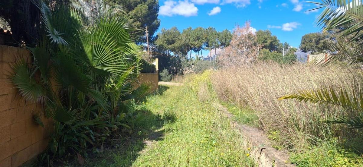 Sprzedaż działki rolnej w Finca rústica en Zona Rincón Alto, Benidorm , Benidorm photo 3