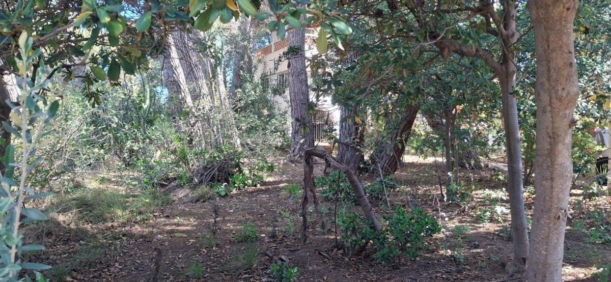 Sprzedaż działki rolnej w Finca rústica en Zona Rincón Alto, Benidorm , Benidorm photo 4