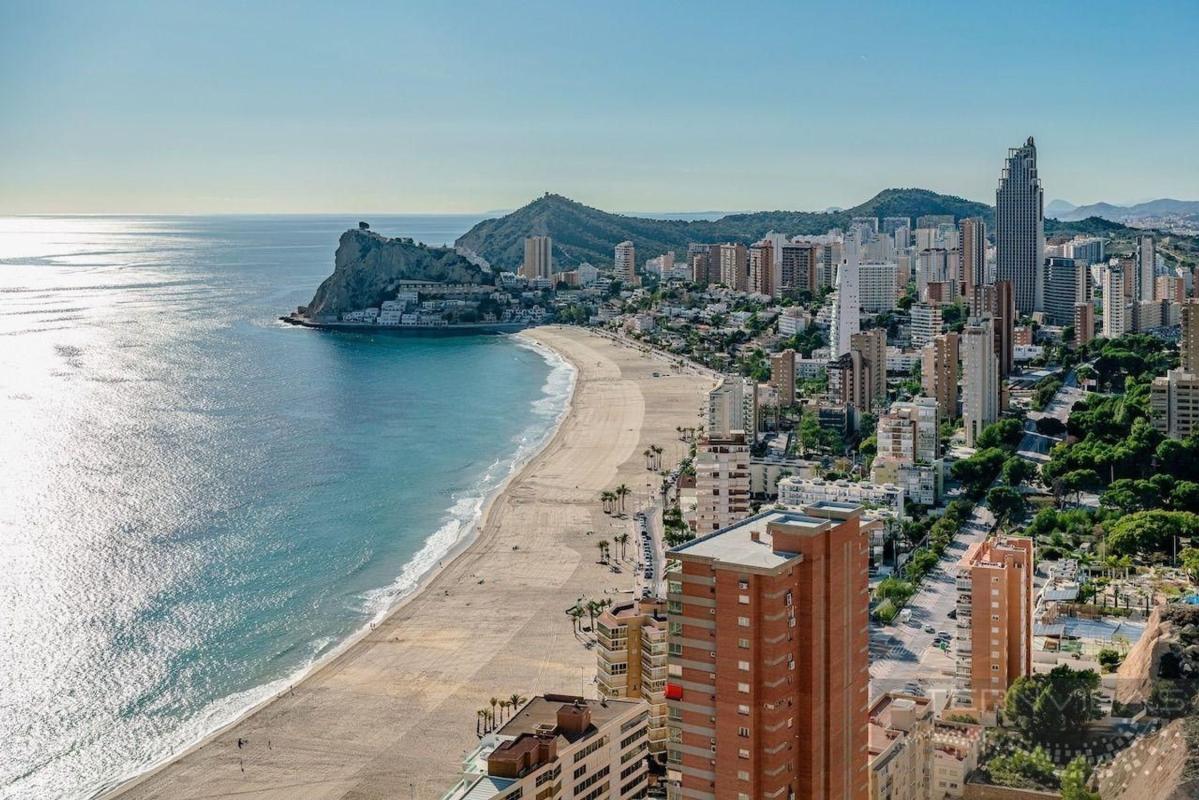 Venta de piso en Piso en Playa de Poniente, Benidorm, Benidorm
photo 5