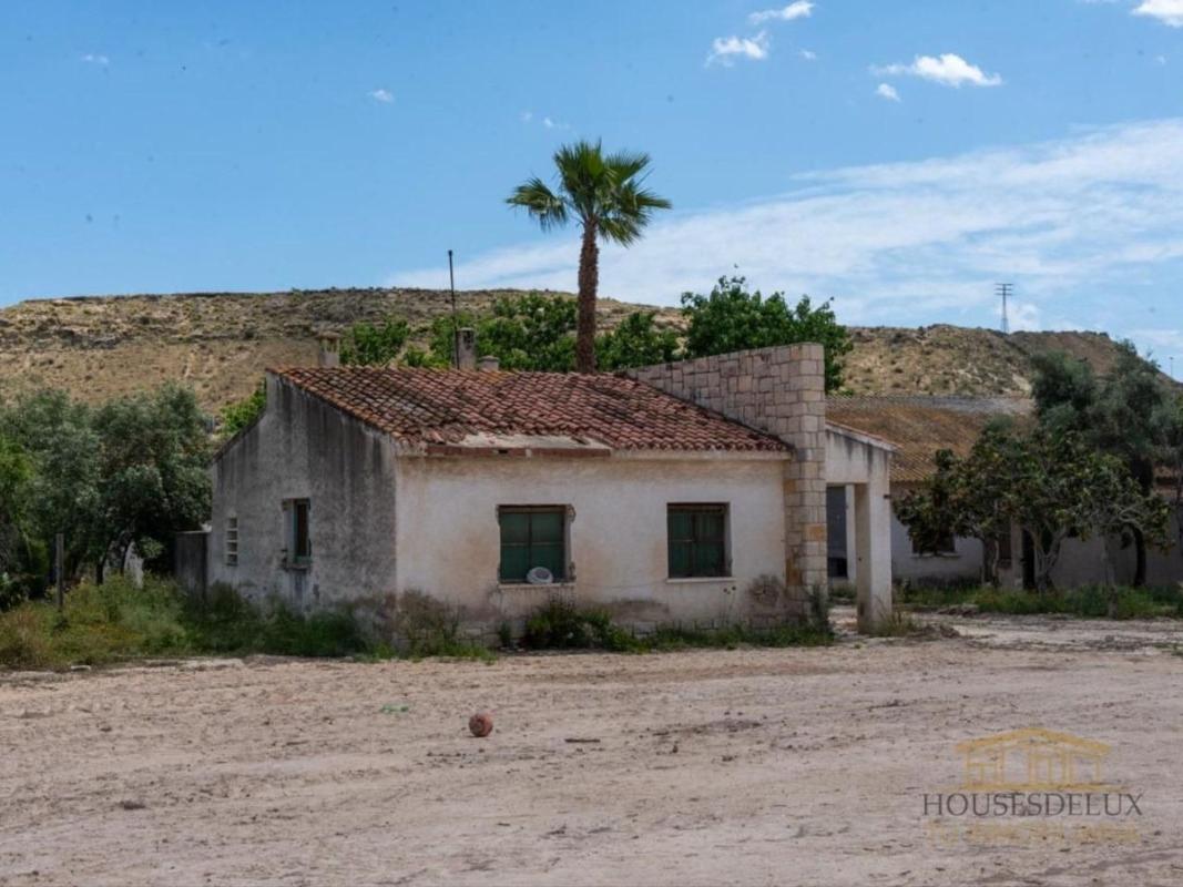 Venta de finca rústica en Finca rústica en Avenida Pintor Gastón Castelló, Colonia Requena - Virgen del Carmen, Alicante / Alacant , Alicante / Alacant photo 5