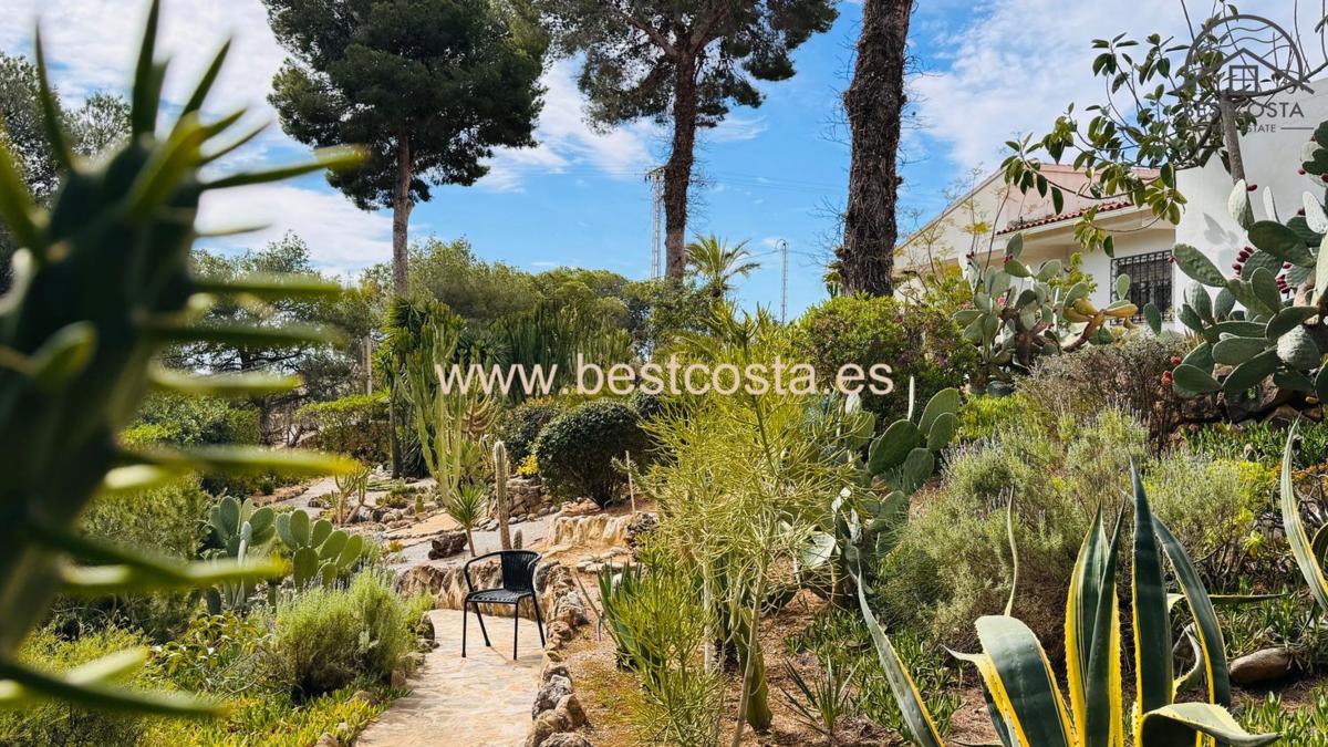Propiedades en venta y alquiler en España photo 2