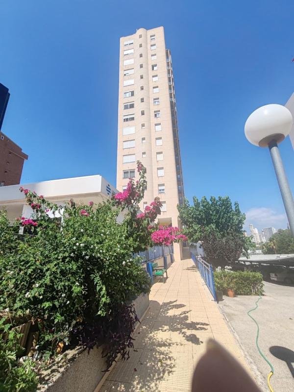 Venta de piso en Piso en Avenida santiago ramon y cajal, Zona Rincón Alto, Benidorm, Benidorm
 photo 2
