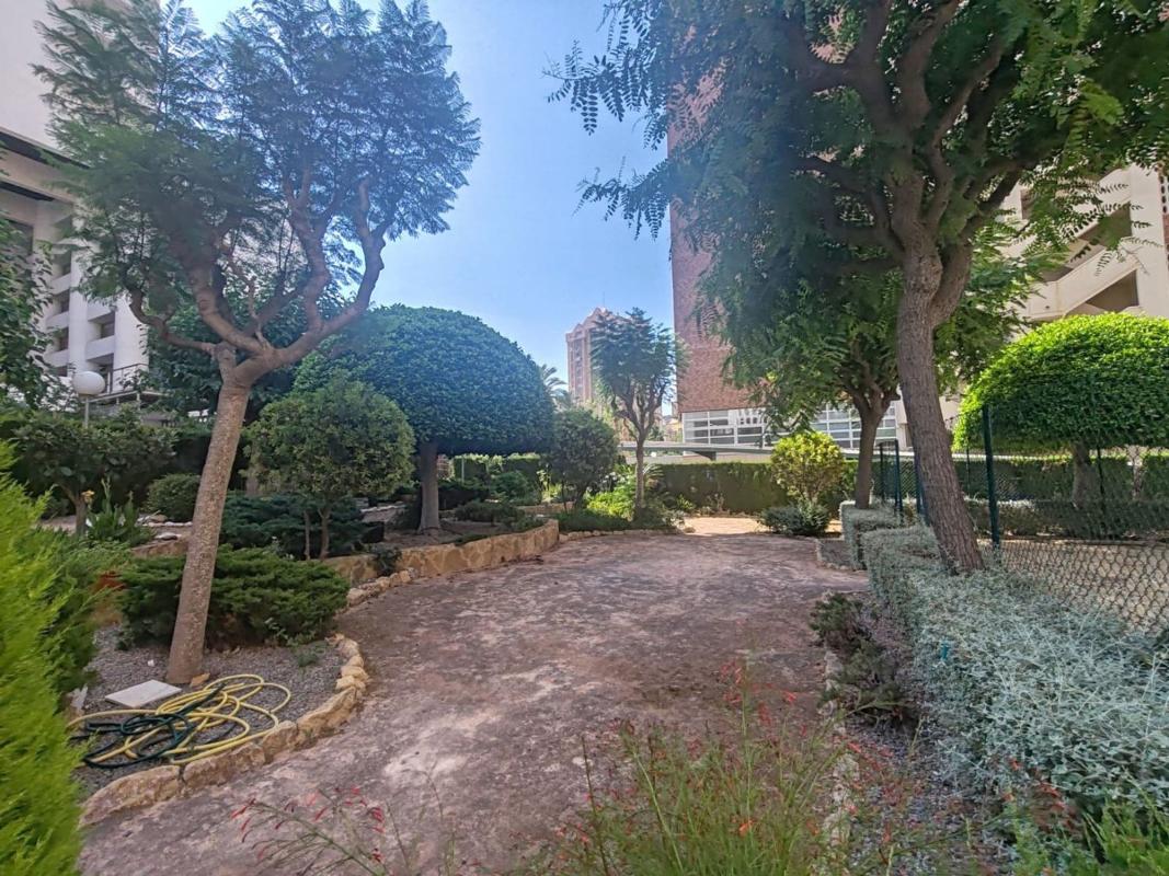 Venta de piso en Piso en Avenida santiago ramon y cajal, Zona Rincón Alto, Benidorm, Benidorm
 photo 3