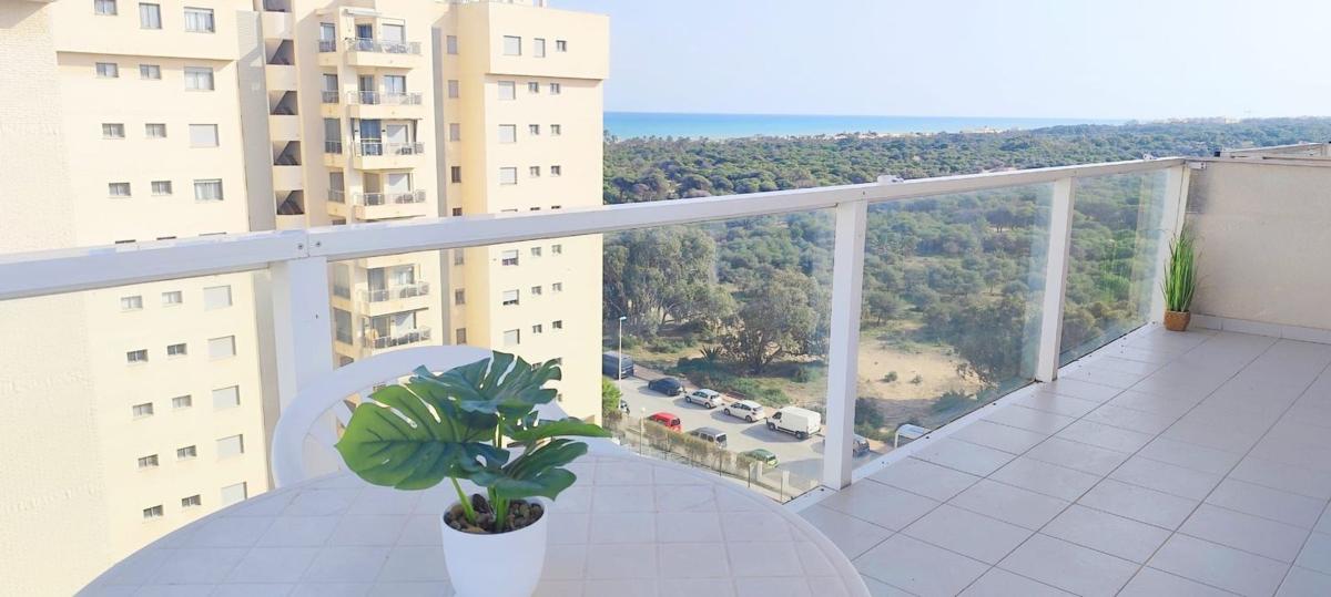 Venta de piso en Piso en Calle Basilio Paredes, Puerto Deportivo, Guardamar del Segura, Guardamar del Segura
photo 1