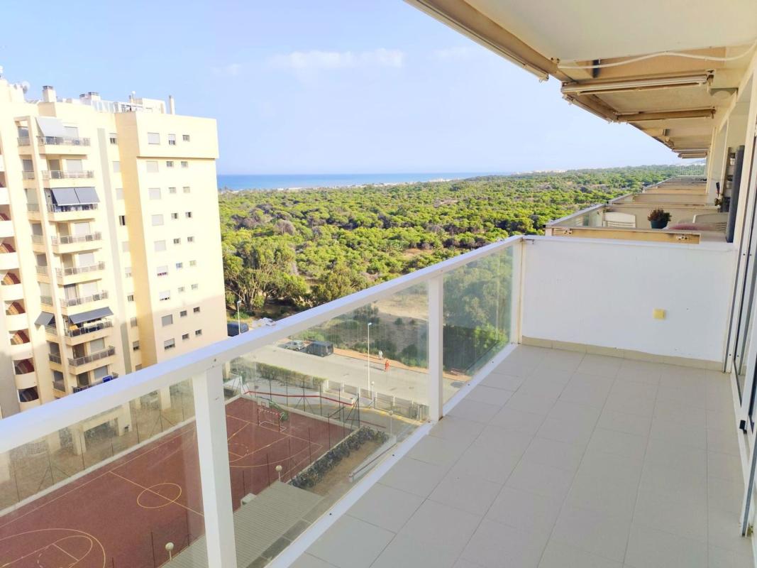 Venta de piso en Piso en Calle Basilio Paredes, Puerto Deportivo, Guardamar del Segura, Guardamar del Segura
photo 5