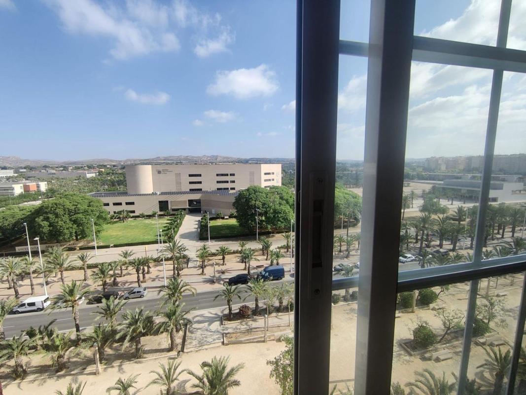 Venta de piso en Piso en Avenida de la Universitat d'Elx, Altabix, Elche / Elx, Elche / Elx
photo 3