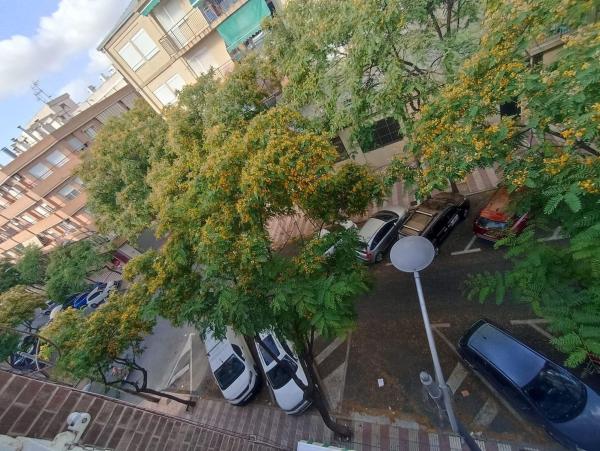 Venta de piso en Piso en Calle Lillo Juan, 104, Alcalde Felipe Mallol, San Vicente del Raspeig, San Vicente del Raspeig
thumbnail 2