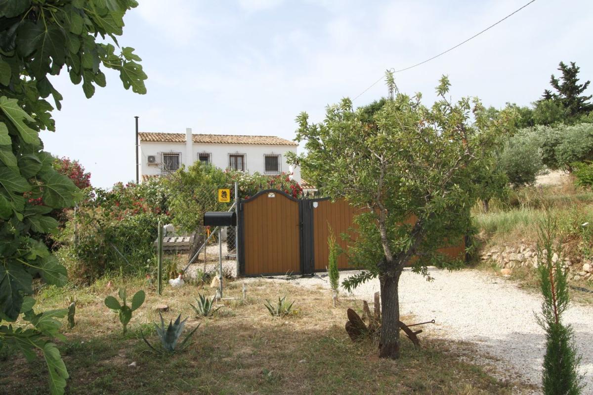Properties for sale and rent in Spain photo 2