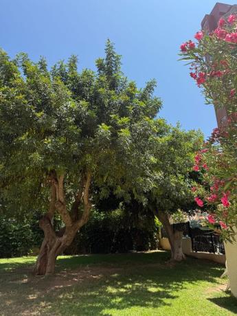 Venta de piso en Piso en Roma, Zona Sierra Helada, Benidorm, Benidorm
 photo 4