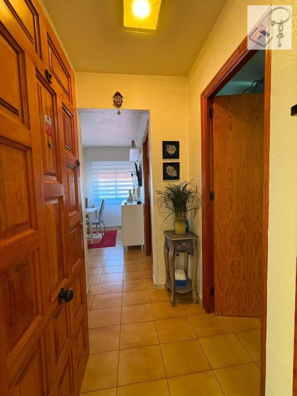 Venta de piso en Piso en Avenida Don Juan de Austria, La Veleta, Torrevieja, Torrevieja
 photo 5