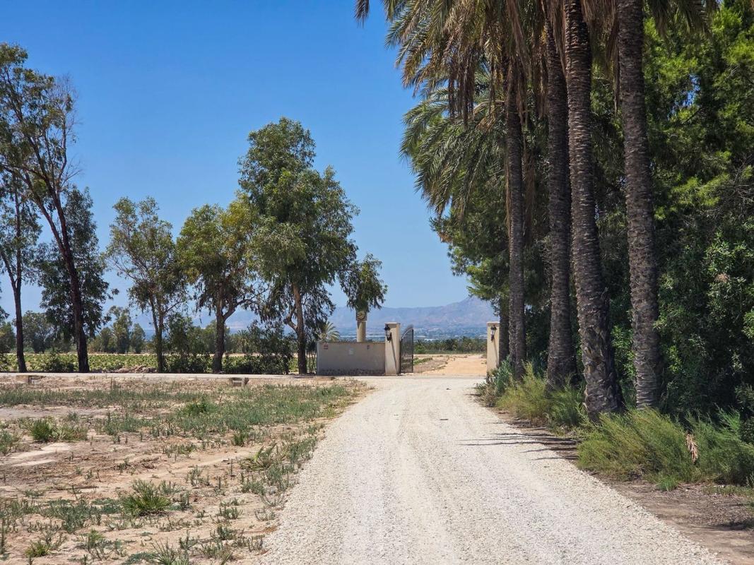Properties for sale and rent in Spain photo 2