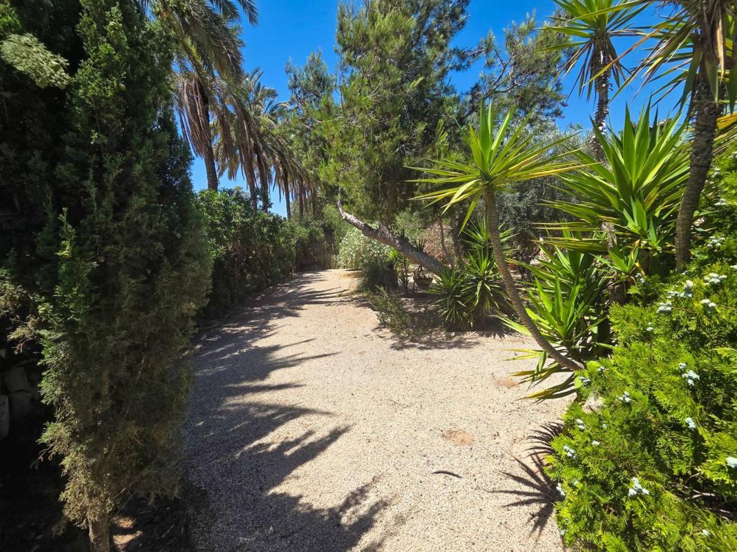 Properties for sale and rent in Spain photo 5