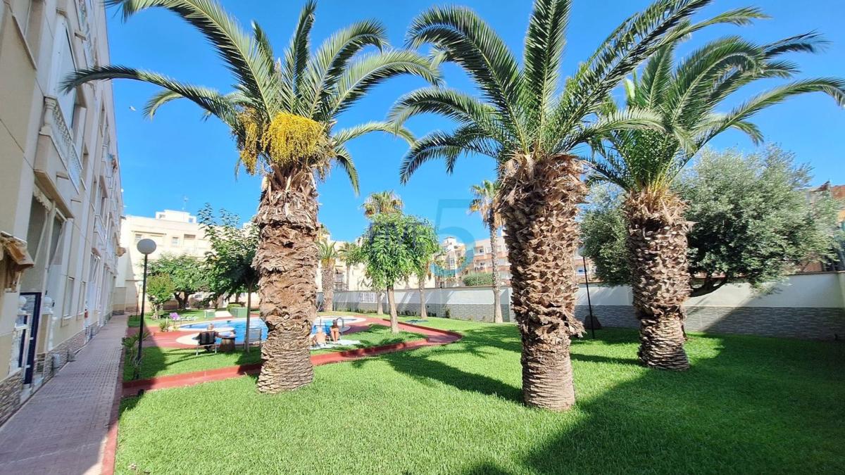 Venta de estudio en Estudio en Antonio Machado, Torrevieja, Torrevieja photo 3
