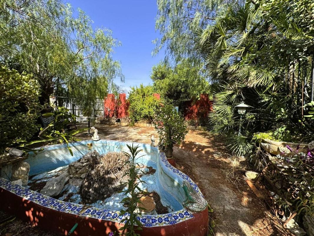 Properties for sale and rent in Spain photo 3