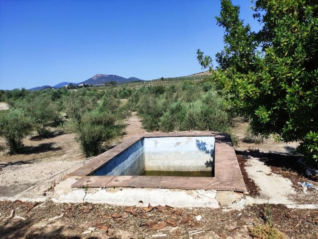 Properties for sale and rent in Spain photo 3