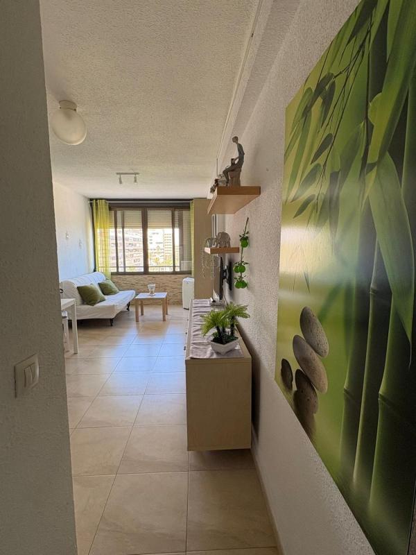 Venta de piso en Piso en Paseo Navarra, Miramar - Torre del Moro, Torrevieja, Torrevieja
photo 1