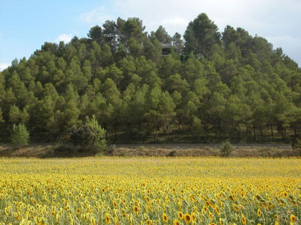 Caserón en Urbanització l'Estepar, 66, Centro - Zona Alta, Alcoy / Alcoi photo