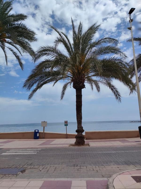 Venta de piso en Piso en Calle de Colón, Campello Playa, El Campello, El Campello
photo 2